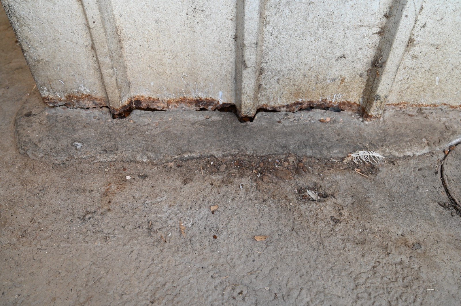 WhatsApp Image 2021-10-11 at 6.24.05 PM (1).jpeg